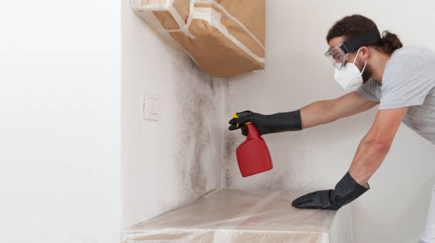 Professional Mold Removal technician working in Burnsville, NC