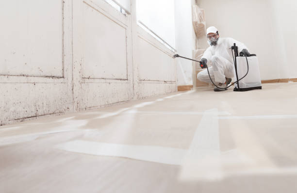 24/7 Emergency Mold Removal experts in Burnsville, NC